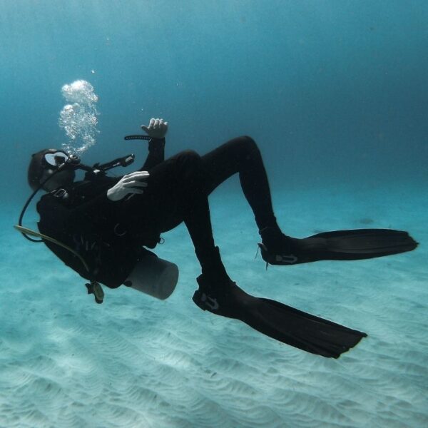 ensenada shore diving