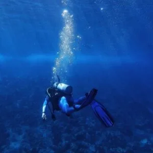 scuba diving in ensenada